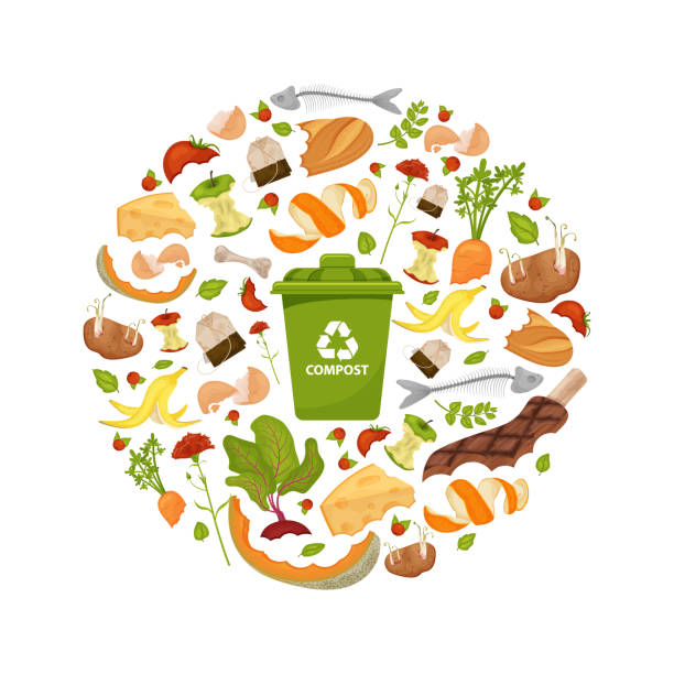 istockphoto-1165711984-612x612